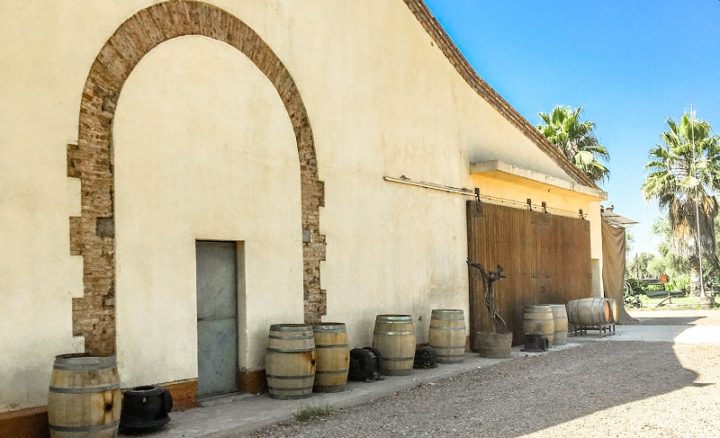 Bodega Cecchin - WINE BIKE TOUR:  MENDOZA