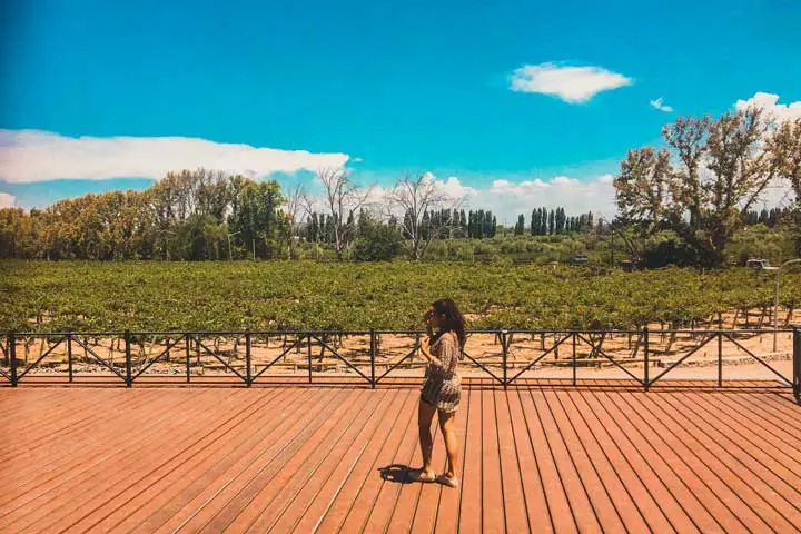 Passeio pelas vinícolas em Mendoza