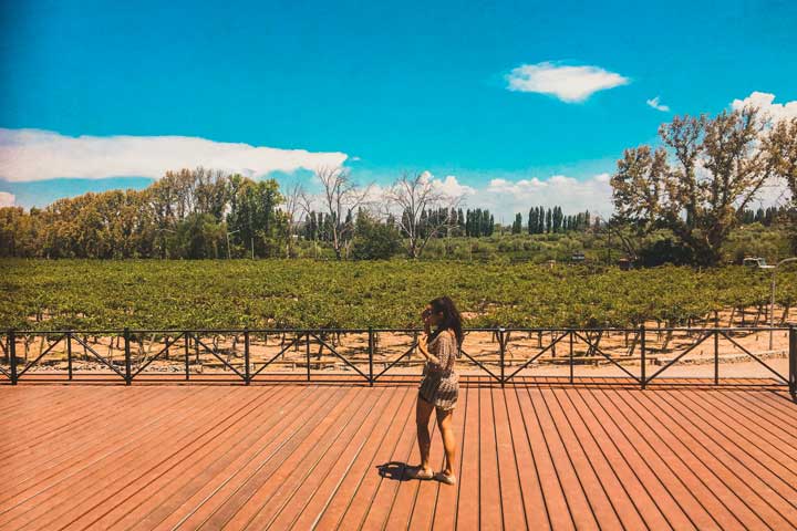 WINE BIKE TOUR MENDOZA