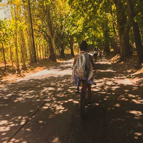 WINE BIKE TOUR MENDOZA