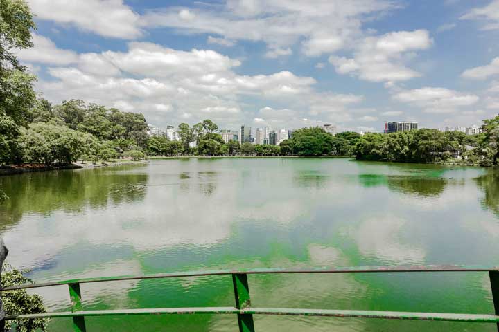 Ibirapuera Parque SP