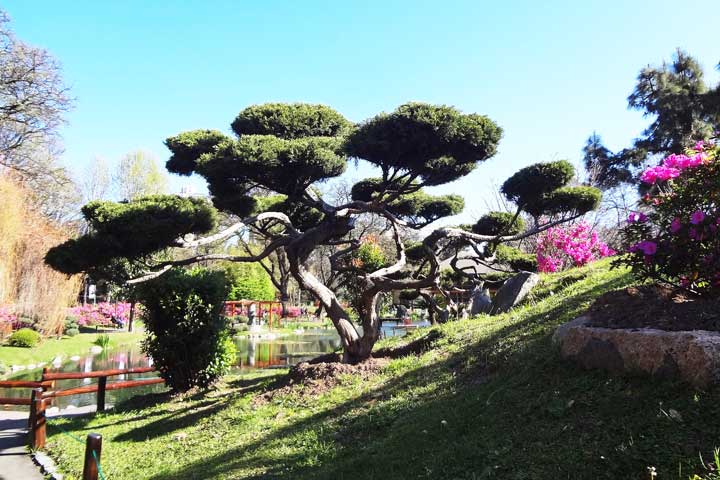 Jardim Japonês de Buenos Aires