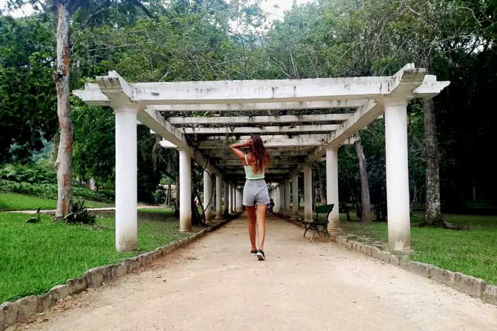Imagem dos Arcos do Jardim Botânico do Rio de Janeiro