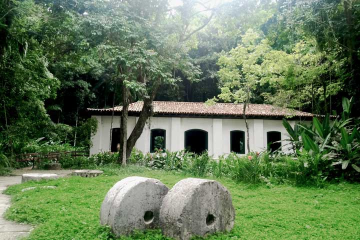 Imagem do Museu do Meio Ambiente
