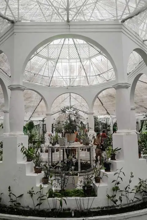 Imagem do Orquidário do Jardim Botânico do Rio de Janeiro