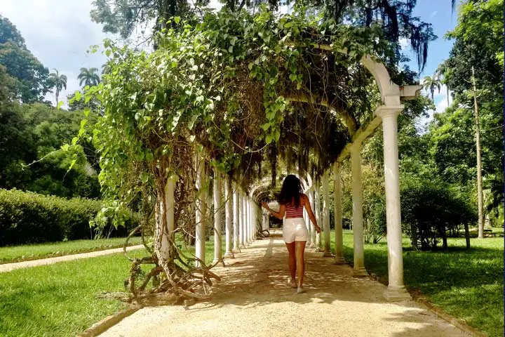 Imagem dos Arcos do Jardim Botânico do Rio de Janeiro