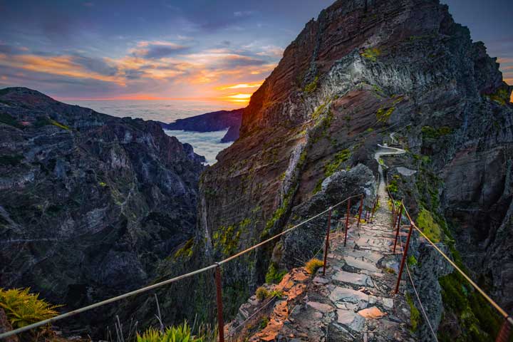 Imagem de uma trilha no Arquipélago da Madeira