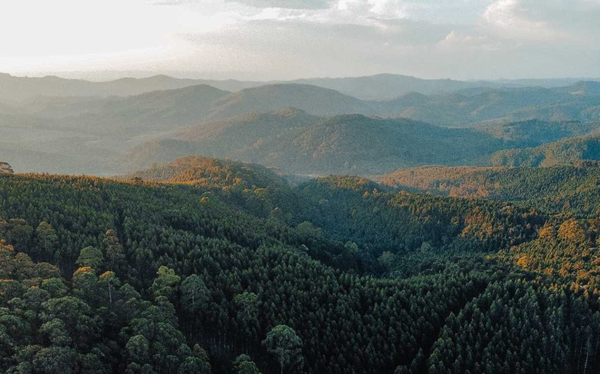 Vista da Natureza em Monte Verde em São Paulo