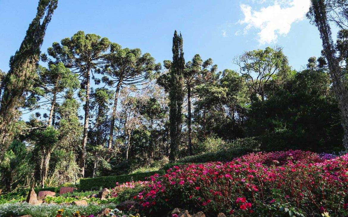 Jardim em Santo Antônio do Pinhal em São Paulo