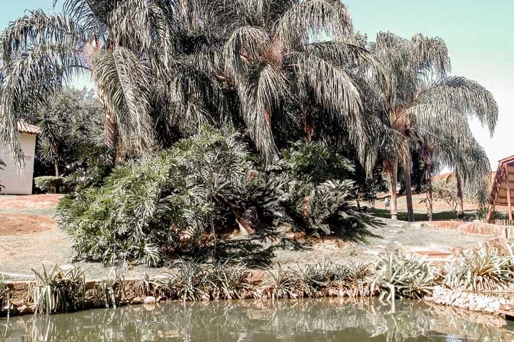 Lagoa do Parque me Vitória