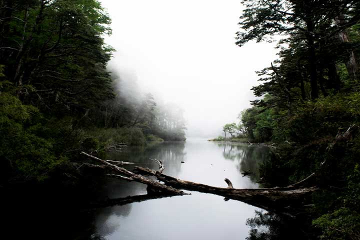  Parque Nacional Huerquehue - Pucón