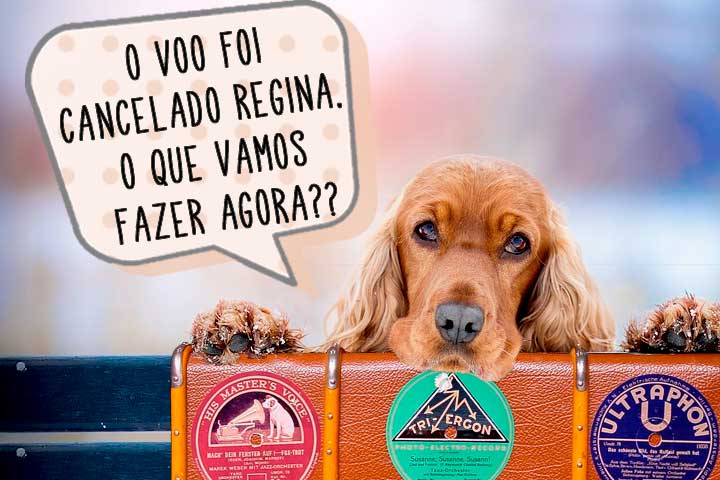 VOO CANCELADO: CONHEÇA SEUS DIREITOS E O QUE FAZER NESSE CASO