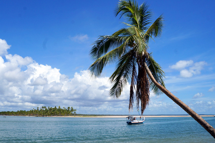 LUGARES PARA VIAJAR EM FEVEREIRO - BOIPEBA