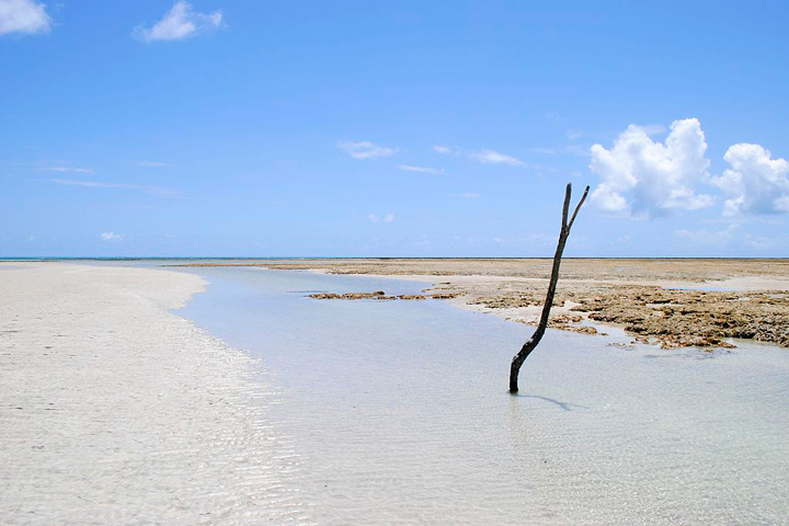 São José dos Milagres - Melhores praias do Brasil