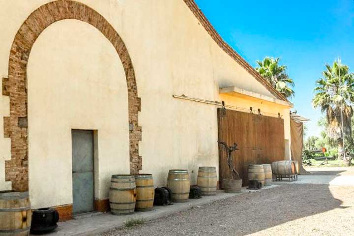 Passeios nas Vinícolas de Mendoza