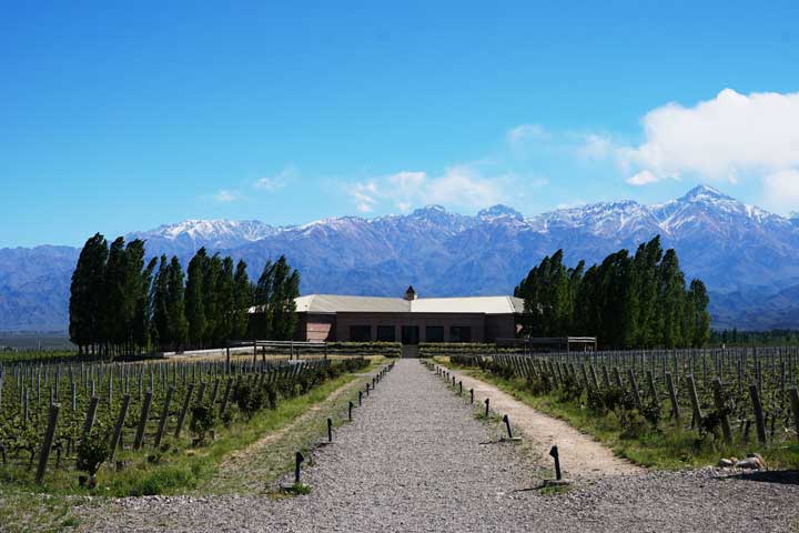 Passeios nas Vinícolas de Mendoza