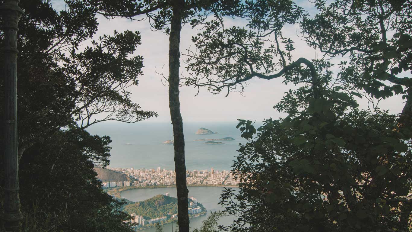 Floresta da Tijuca