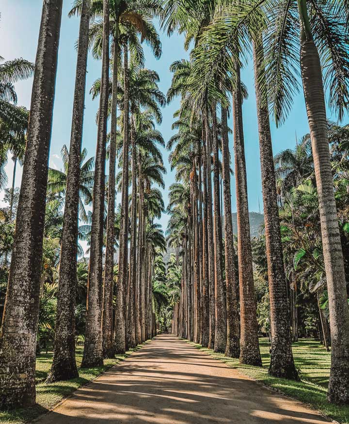 Jardim Botânico do Rio de Janeiro