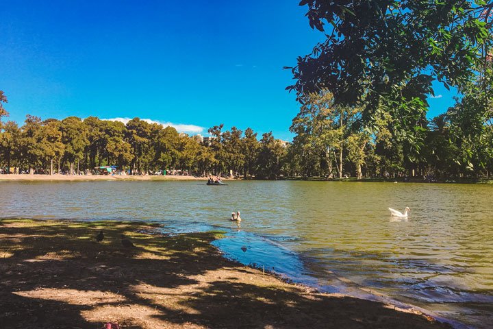 Bosques de Palermo