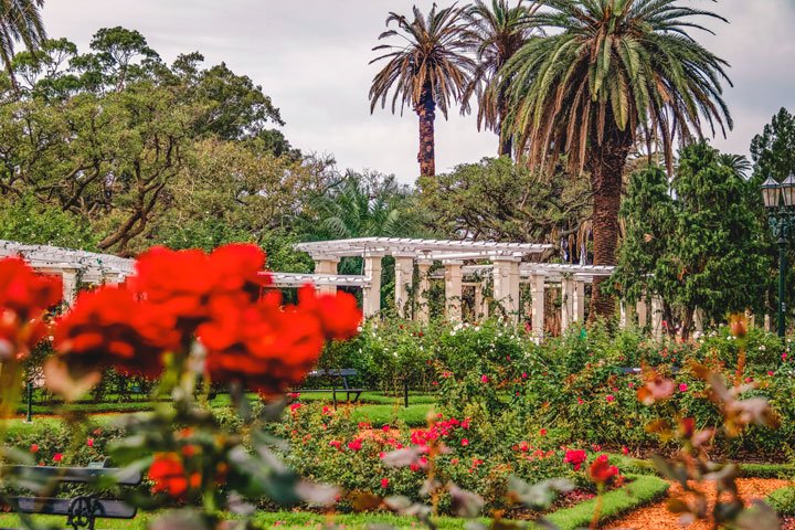 El Rosedal de Palermo