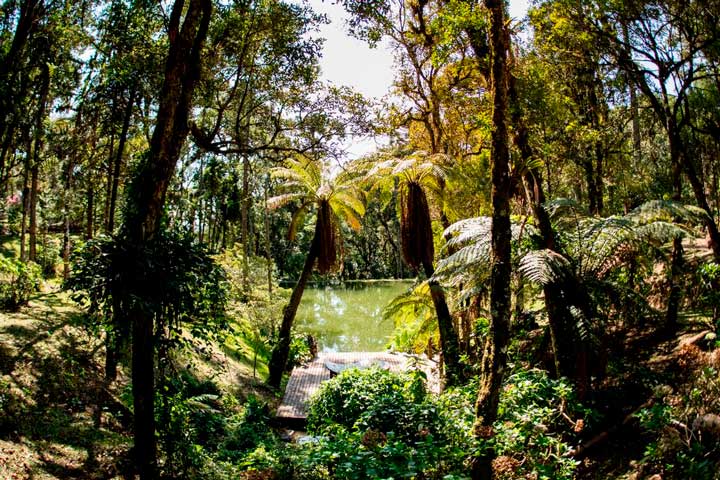 HOTEL FAZENDA EM CAMPOS DO JORDÃO