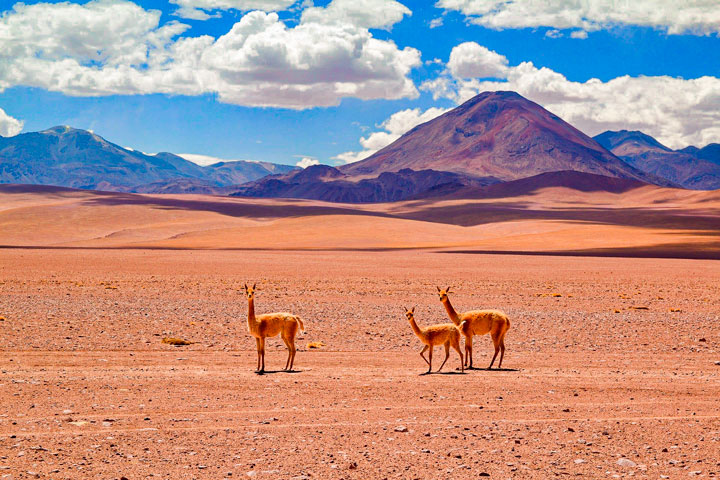 Deserto do Atacama Chile