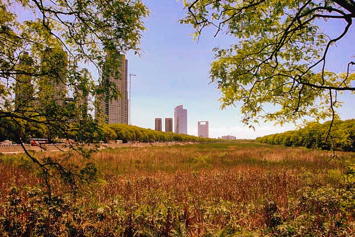 Reserva Ecológica Costanera Sur