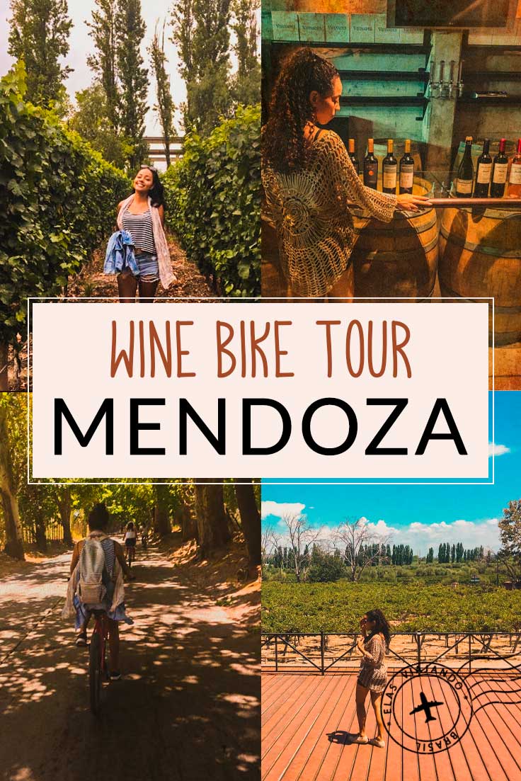 WINE BIKE TOUR MENDOZA