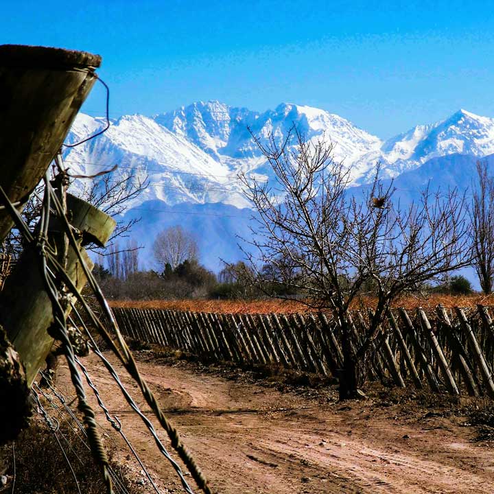 VIAGEM PARA MENDOZA