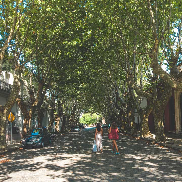 Avenida General Flores