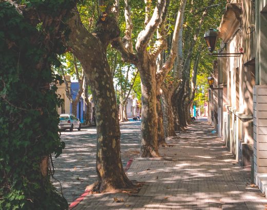 Viagem para Colonia del Sacramento