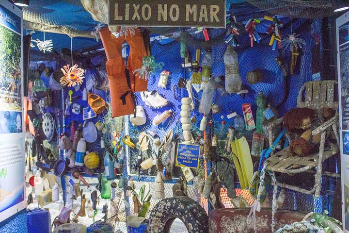 O que fazer em Ubatuba com chuva - Aquário