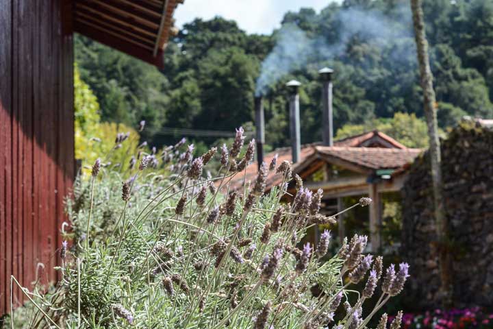 O que fazer em Campos do Jordão com crianças