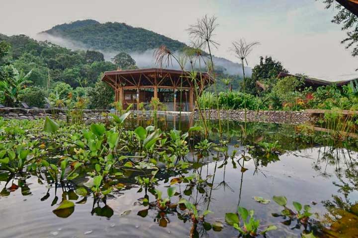 Banana Bamboo Ecolodge