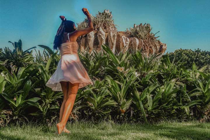 Pontos turísticos de Vitória, Parque Pedra da Cebola