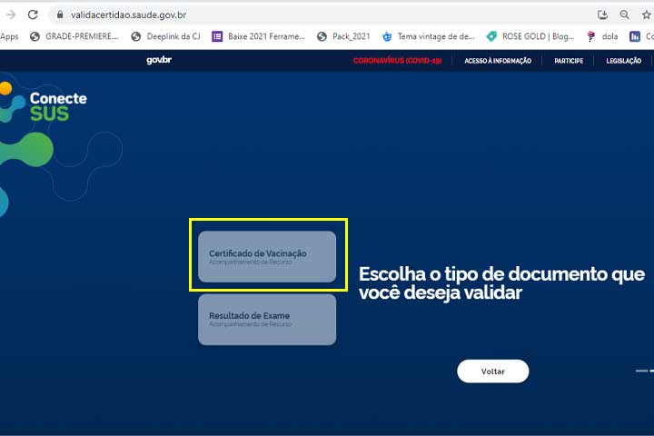 Como validar o certificado de vacina contra Covid-19