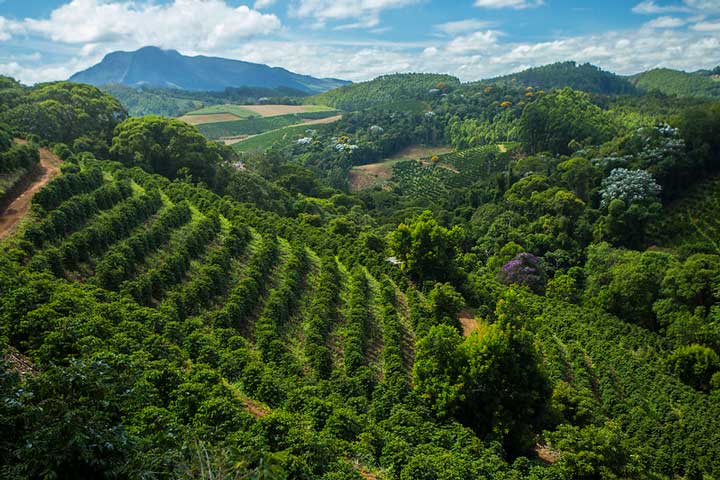 Venda Nova do Imigrante