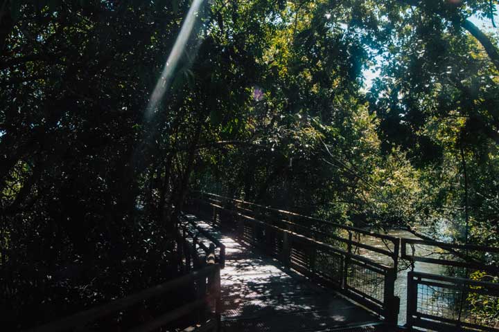 Trilha Parque Nacional do Iguazú