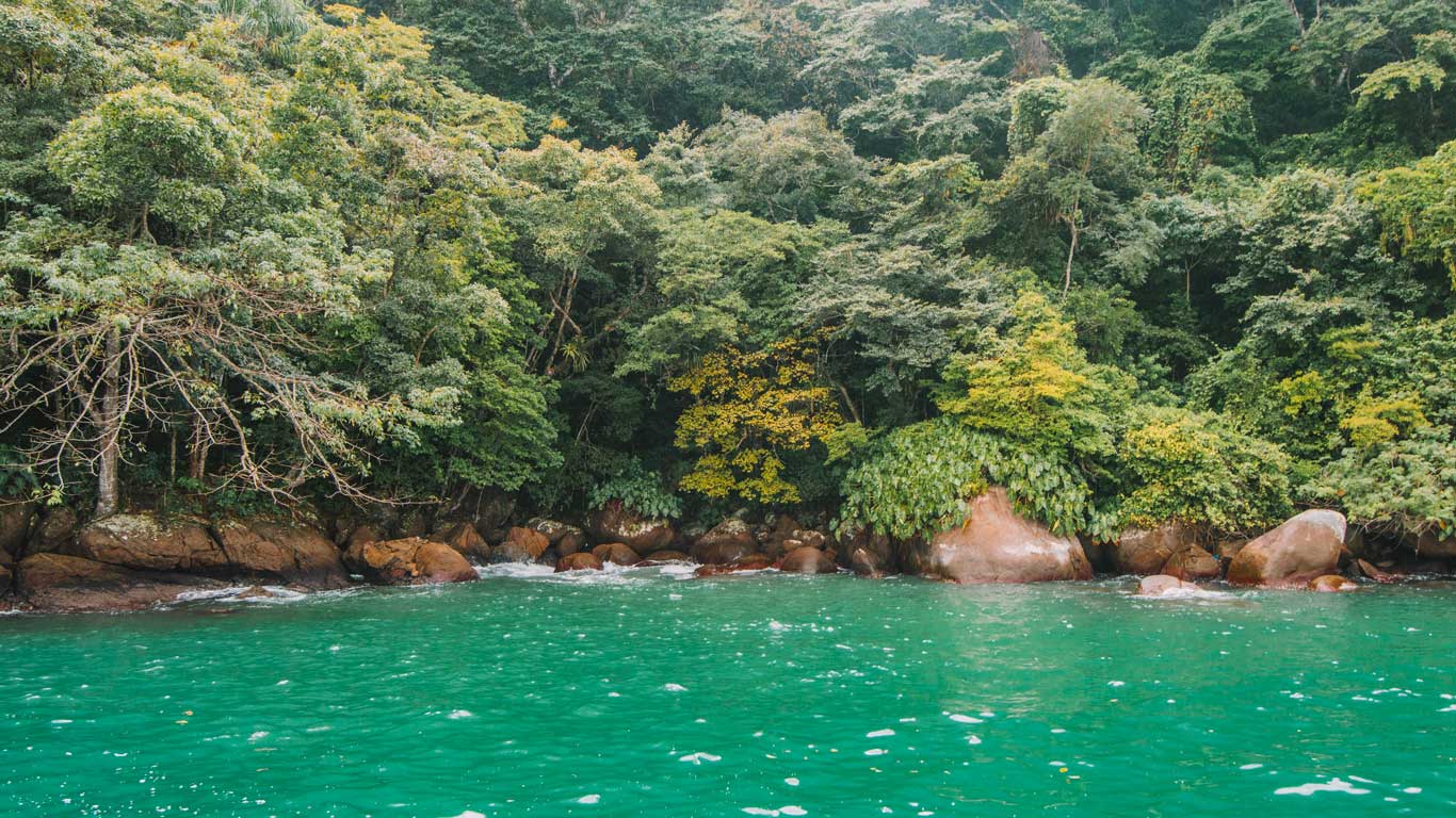 Ilha dos Cocos em Paraty RJ