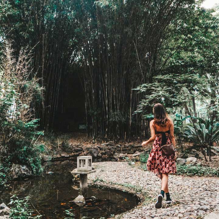 Jardim Botânico de Buenos Aires