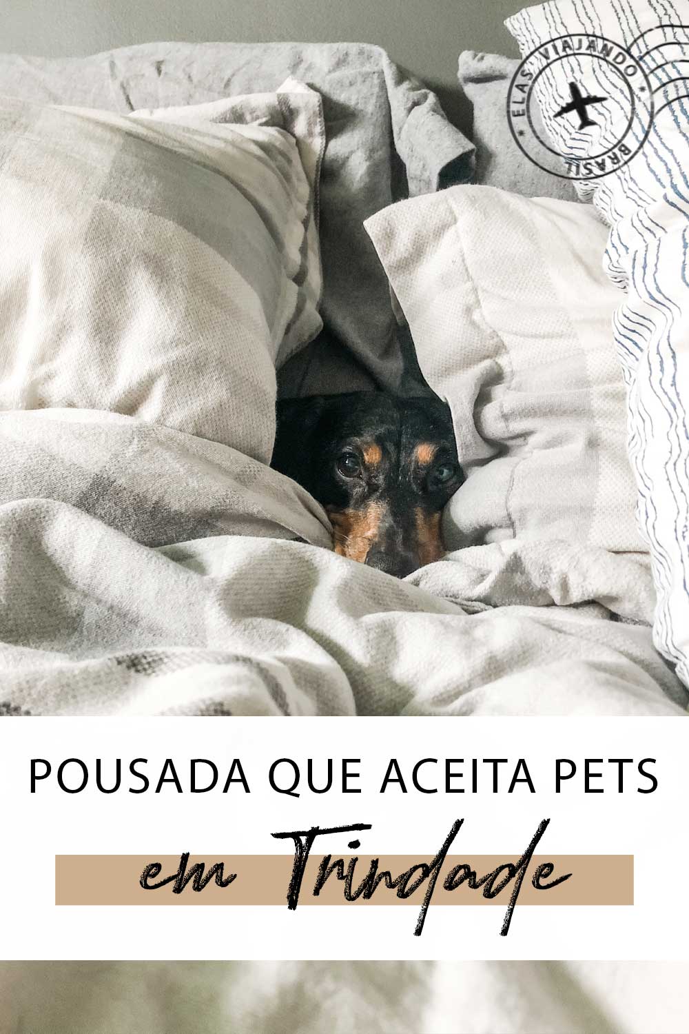 POUSADA EM TRINDADE QUE ACEITA PETS