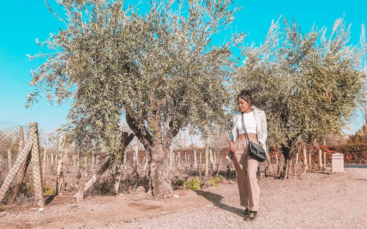 Restaurantes em Mendoza Bodega Vistalba