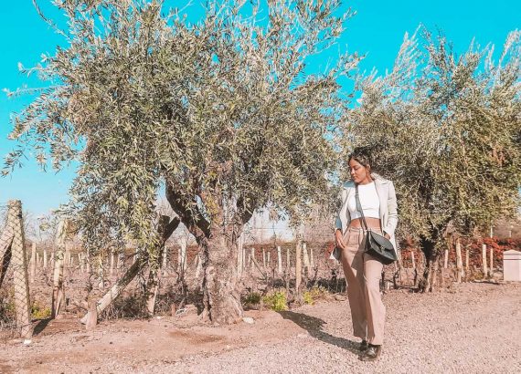Restaurantes em Mendoza Bodega Vistalba