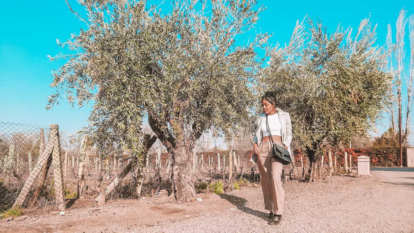 Restaurantes em Mendoza Bodega Vistalba