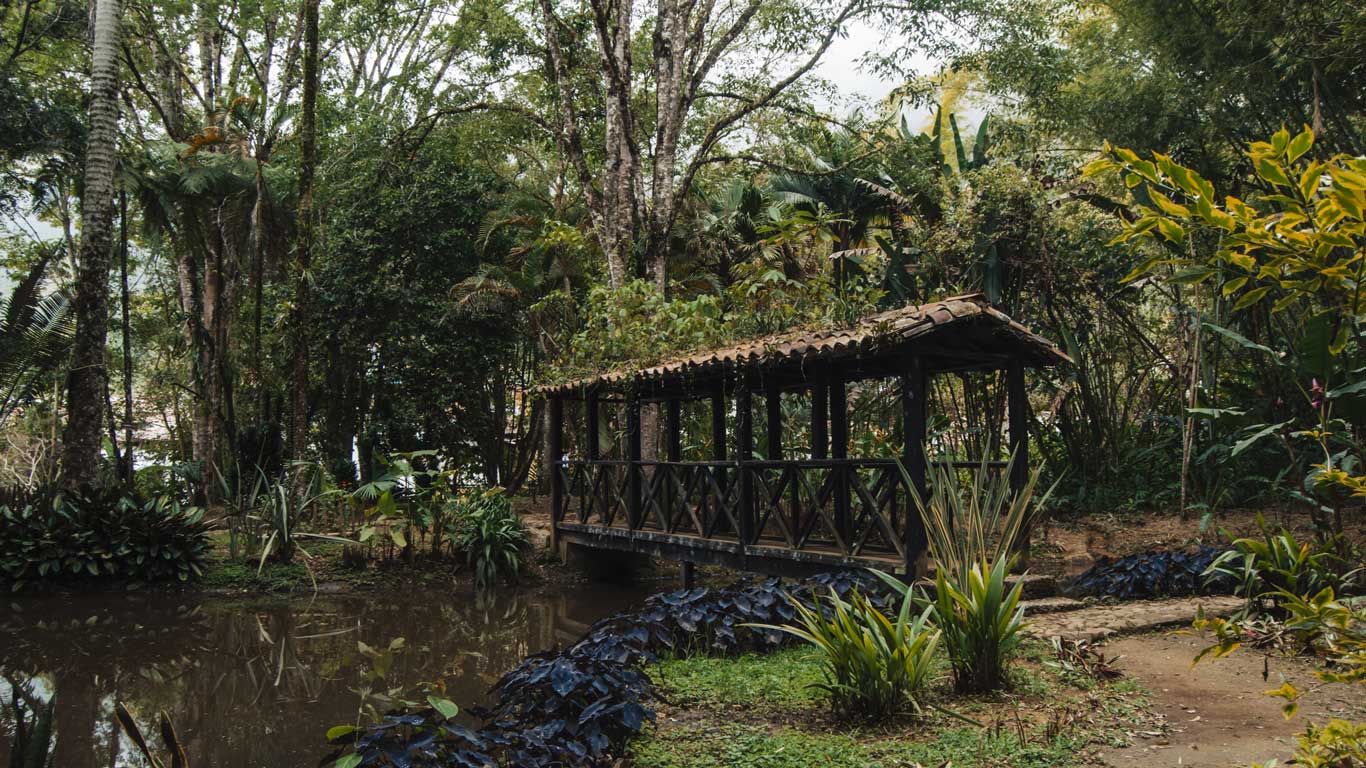 Jardín Botánico Los Balsos 