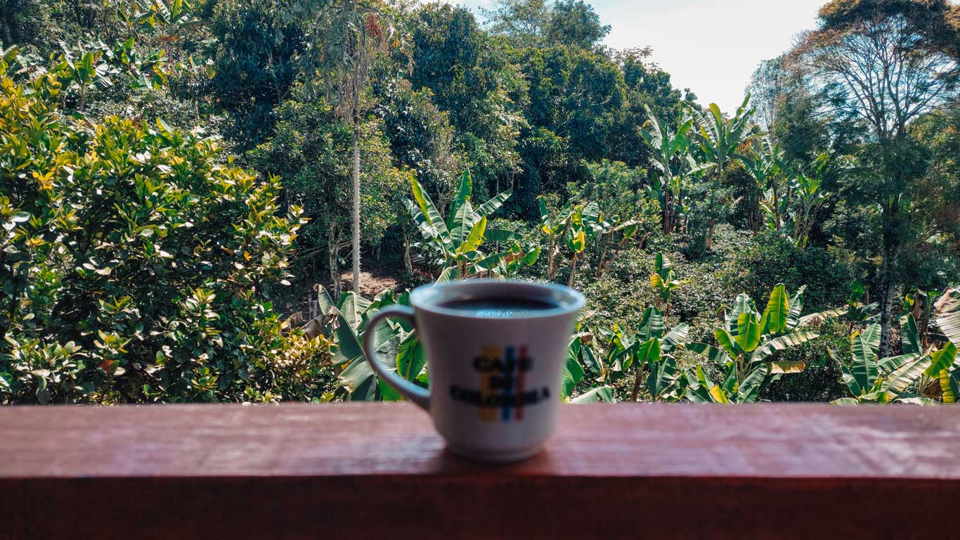 Fazenda de café em Jadín na Colômbia