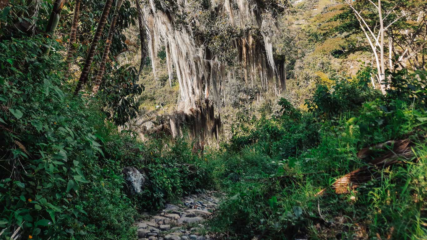 Caminhar até o Cristo Rey e descansar no Café Jardín