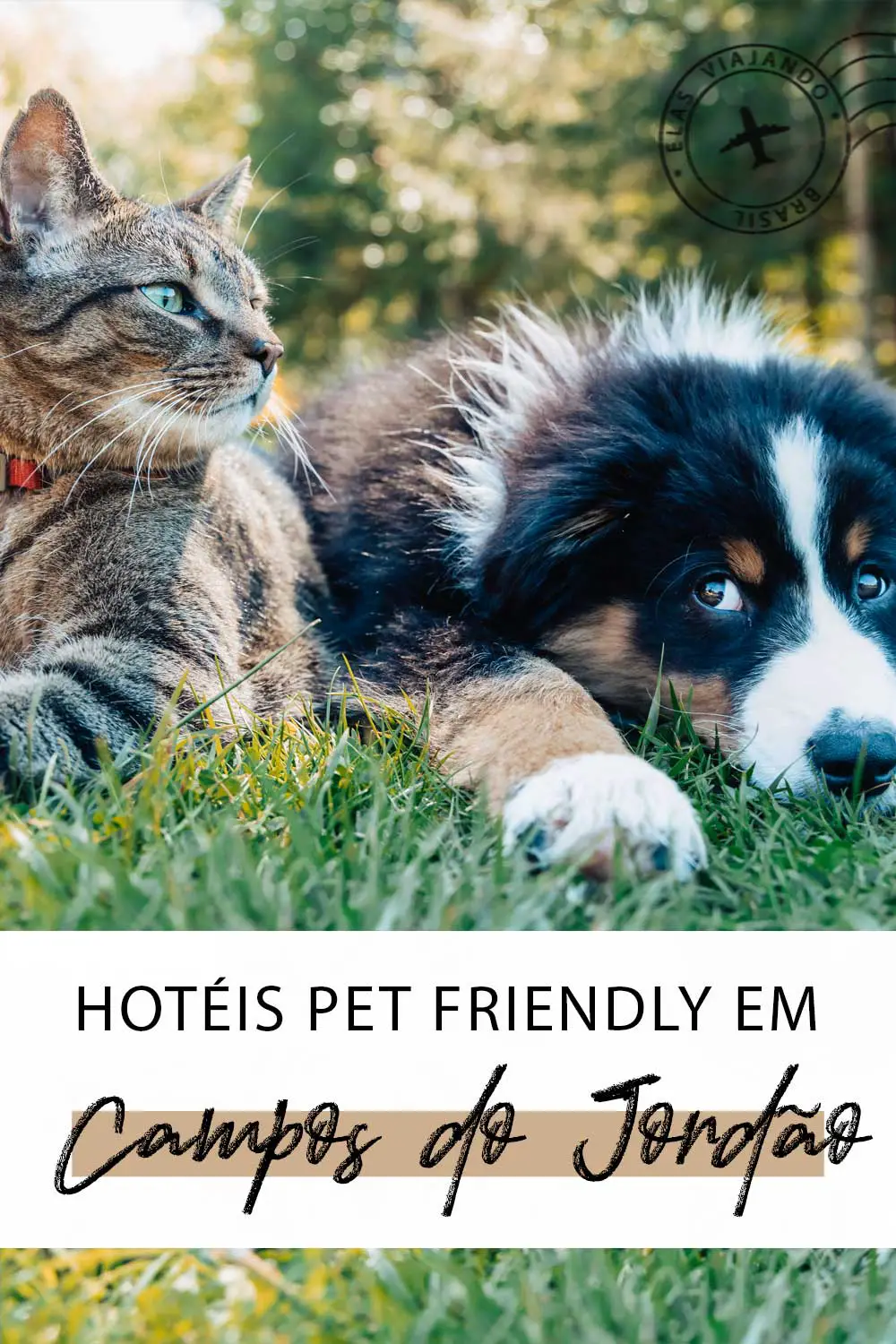 Hotel e pousada Pet Friendly em Campos do Jordão