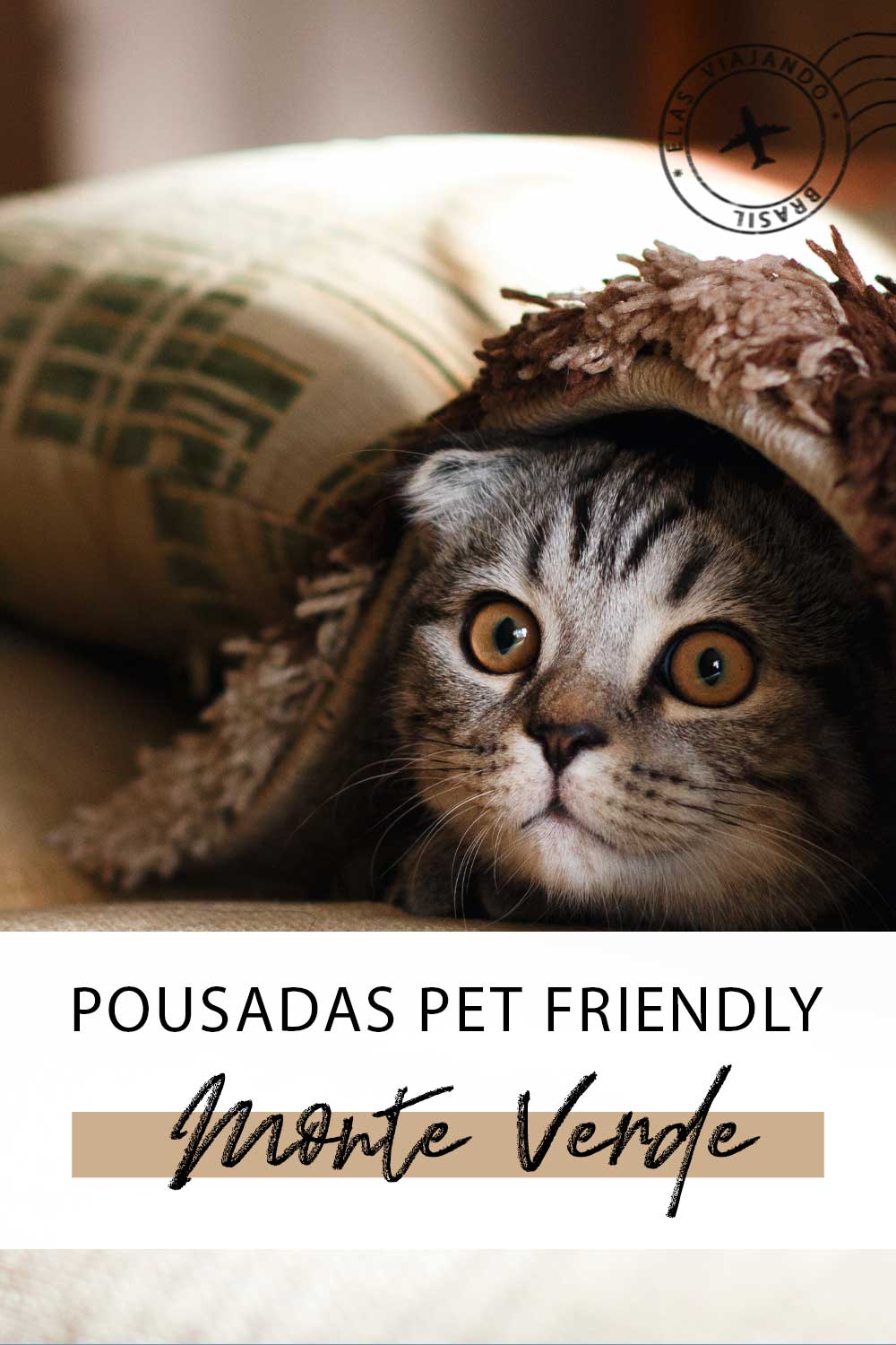 Pousadas Pet Friendly em Monte Verde