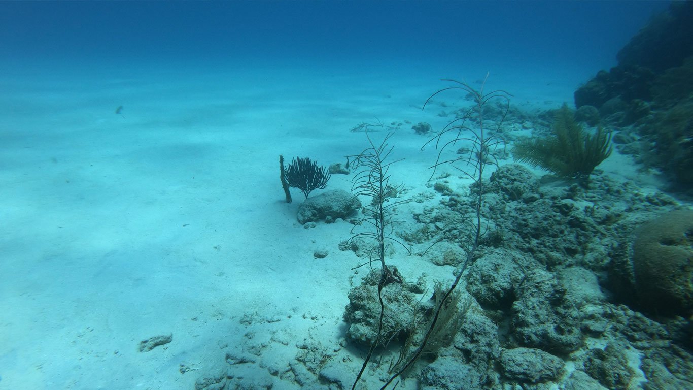 Seawalker em San Andrés